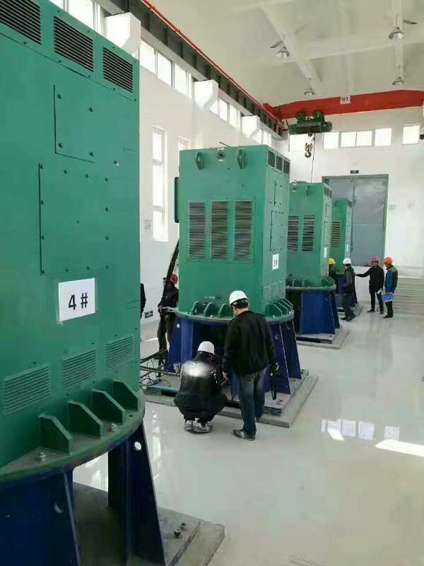 夏津某污水处理厂使用我厂的立式高压电机安装现场