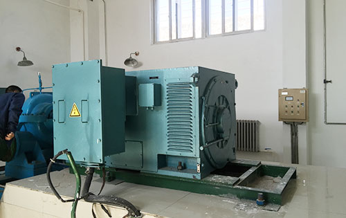 夏津某水电站工程主水泵使用我公司高压电机